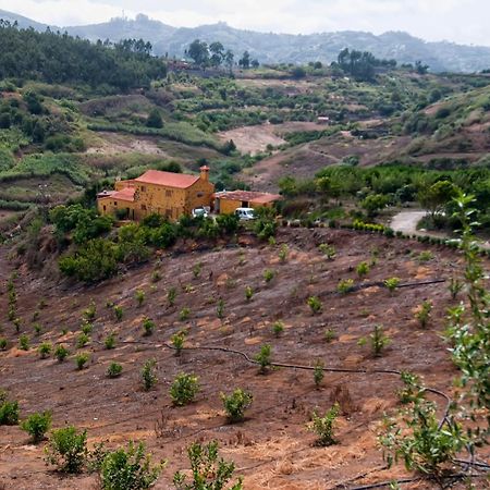 Las Casas De Lola Y Rafael Мойя Экстерьер фото